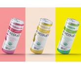 Design by ideadesign for Contest: Front of pack design for line of sparkling organic health and hydration beverages. 3 flavors with fruit illustration, 12oz sleek can