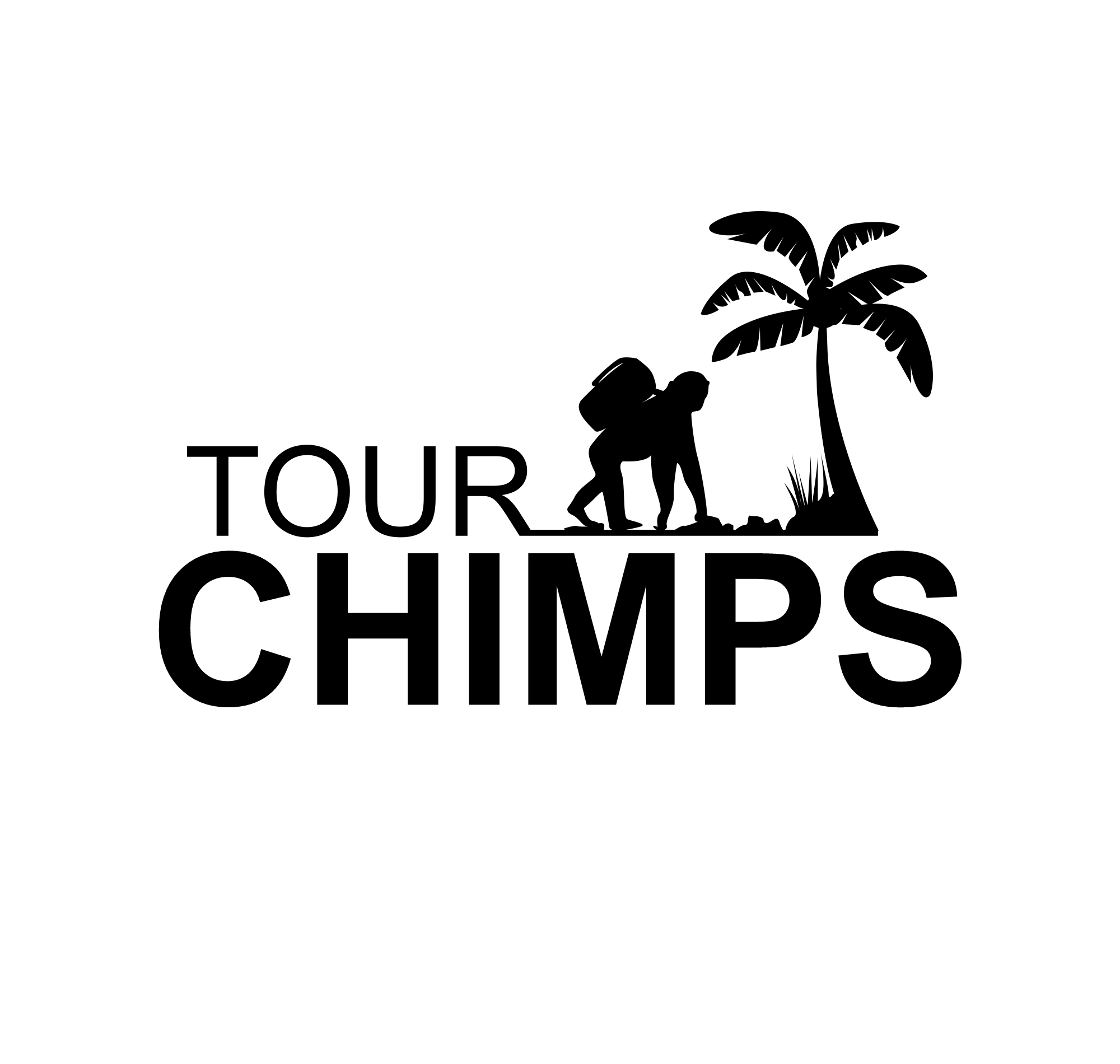 tour company ideas