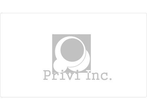 Privi Inc. Logo Design