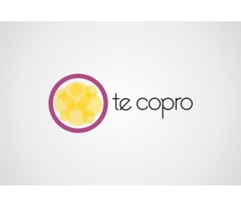 Design for Contest: Spanish Sourcing company needs Logo Design 