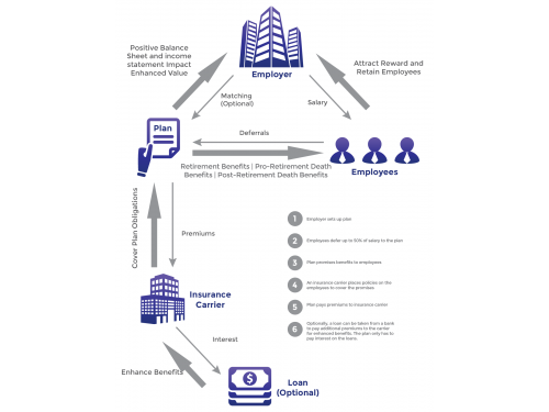 Financial Plan Process Infographic