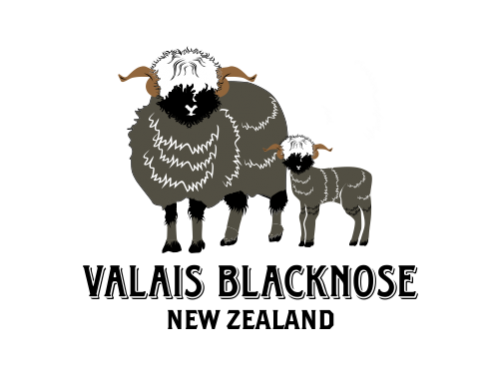 Design for Contest: Logo/branding for super cute New Zealand Valais Blacknose Sheep & lambs - agricultural company