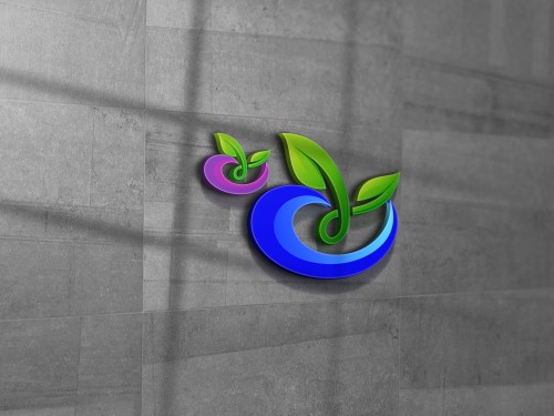 Design for Contest: Career/Life Coach