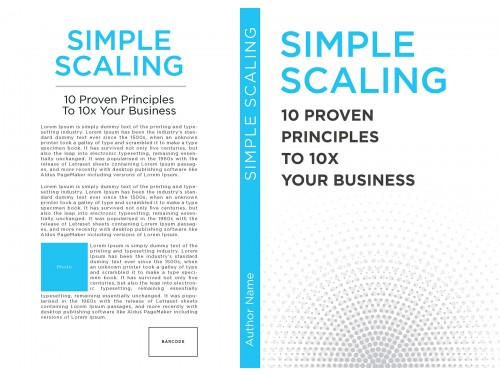 Simple Scaling Book cover