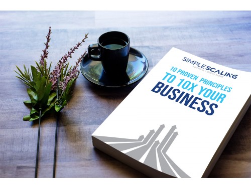 Design for Contest: Simple Scaling Book cover
