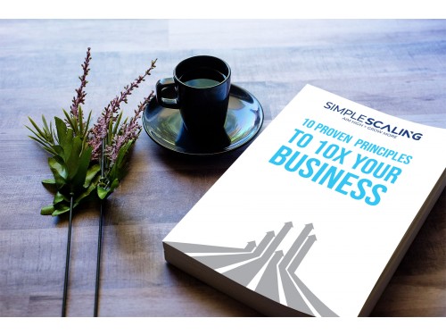 Design for Contest: Simple Scaling Book cover